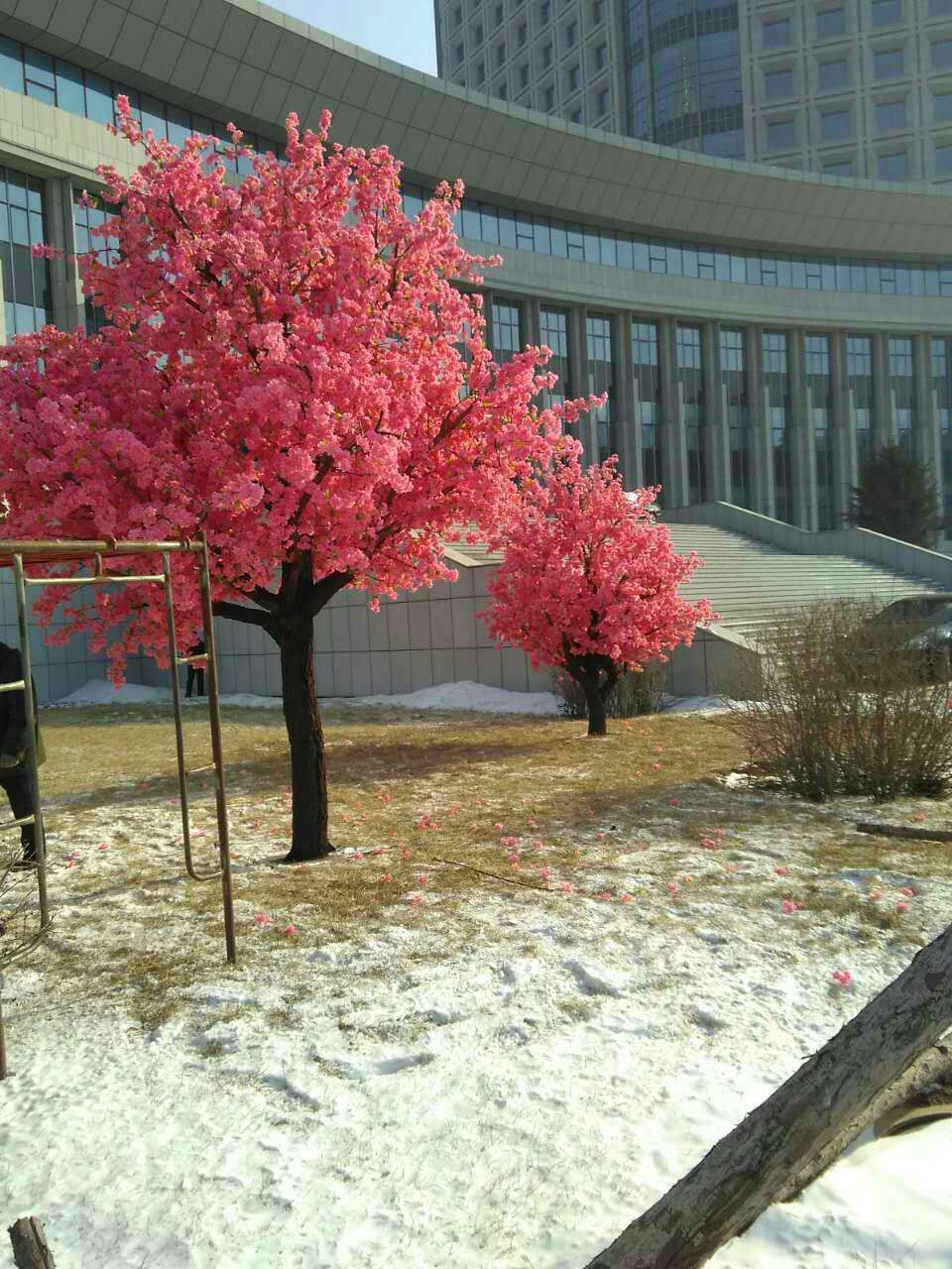 1514946077836210.jpg QQ图片20160514174336.jpg