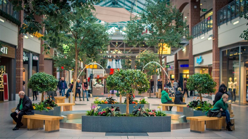 1527470937142445.jpg Artificial-Plants-and-Trees-Indoors.jpg