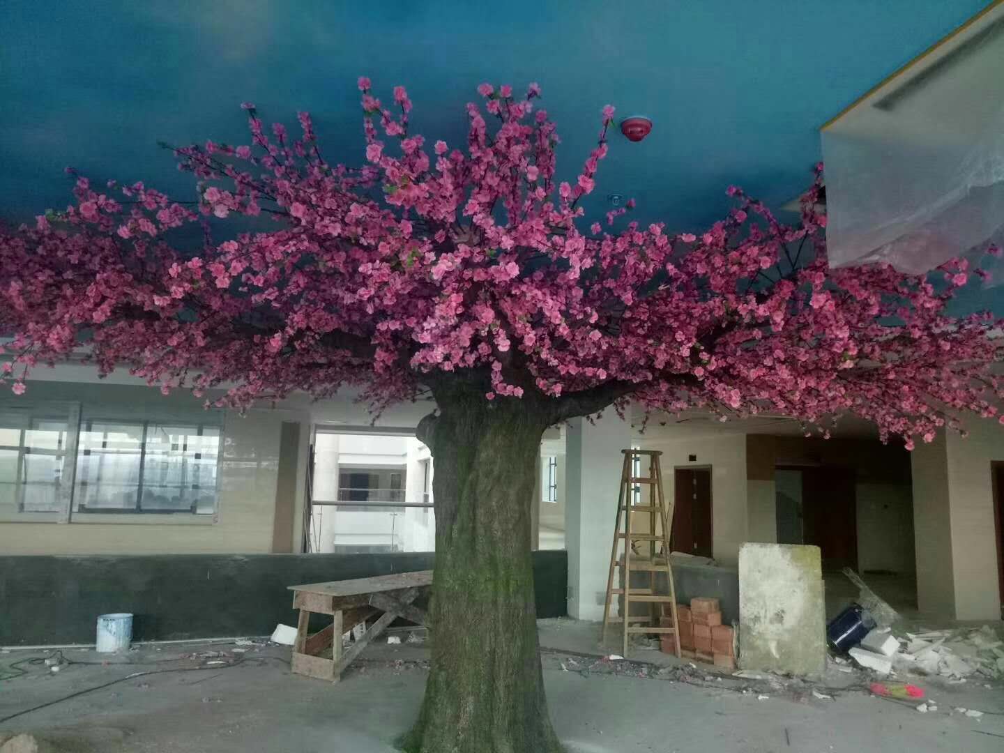 1528449386361004.jpg