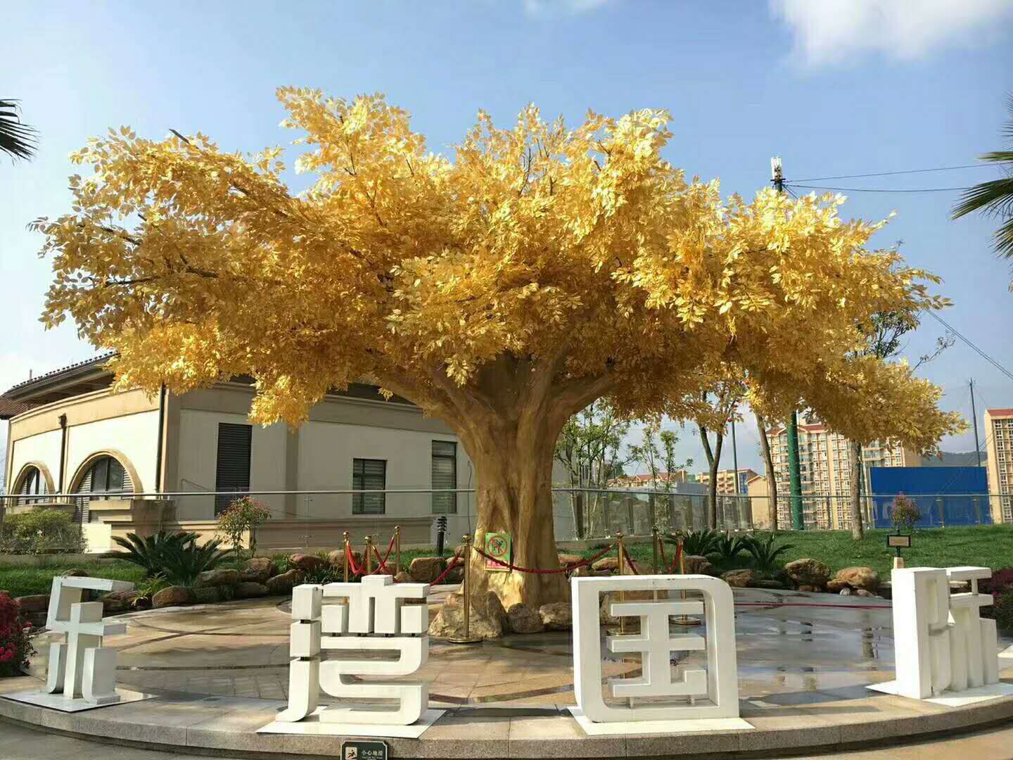 1529055216762239.jpg 微信图片_20180608171441.jpg