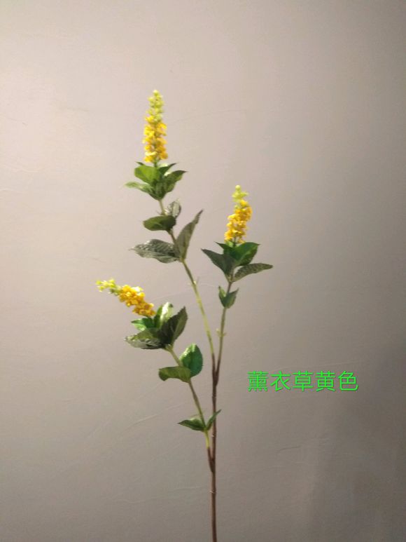 1531469532278741.jpg