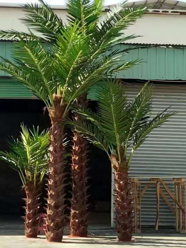 1535098000708669.jpg