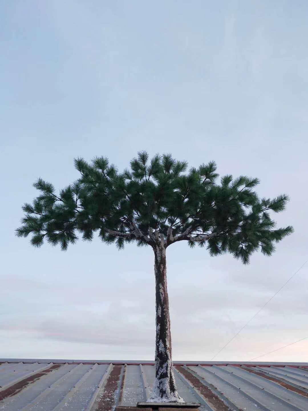 1538277099774882.jpg