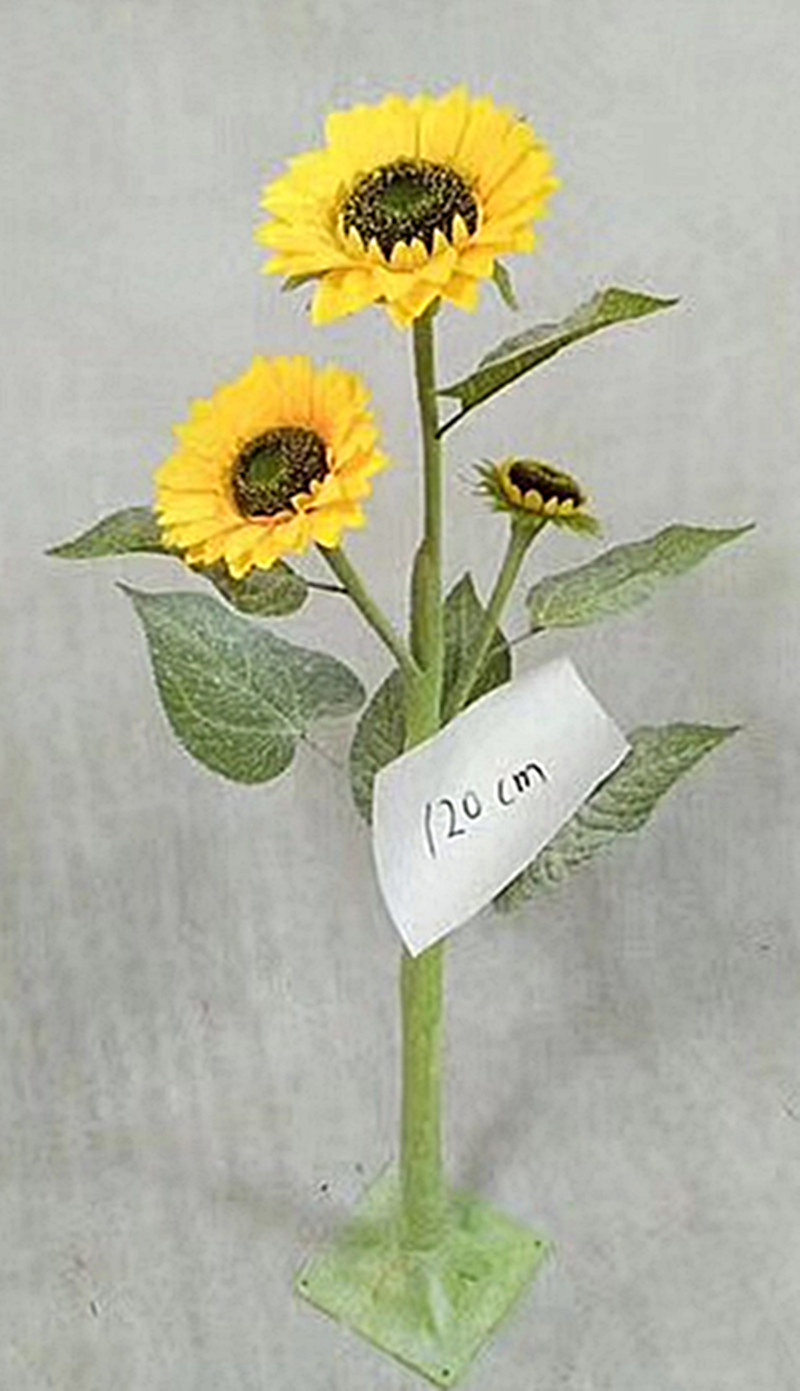 1538277216160141.jpg
