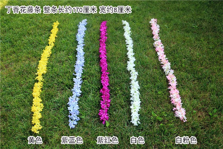 1543047623346414.jpg