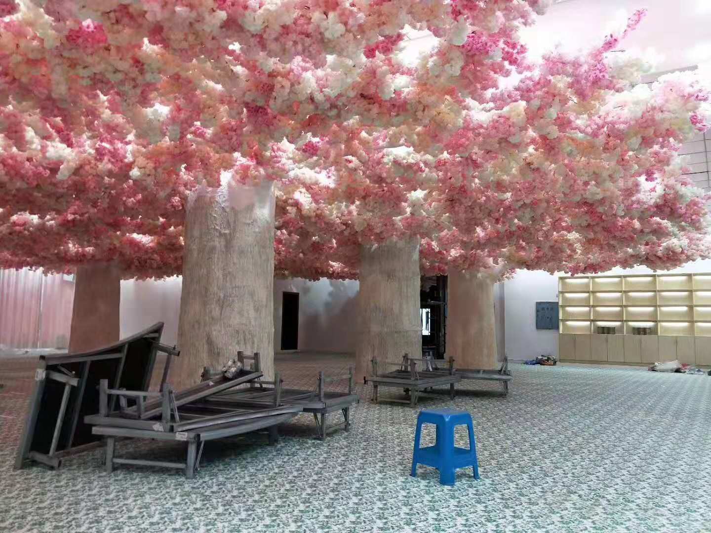 1545962154392547.jpg