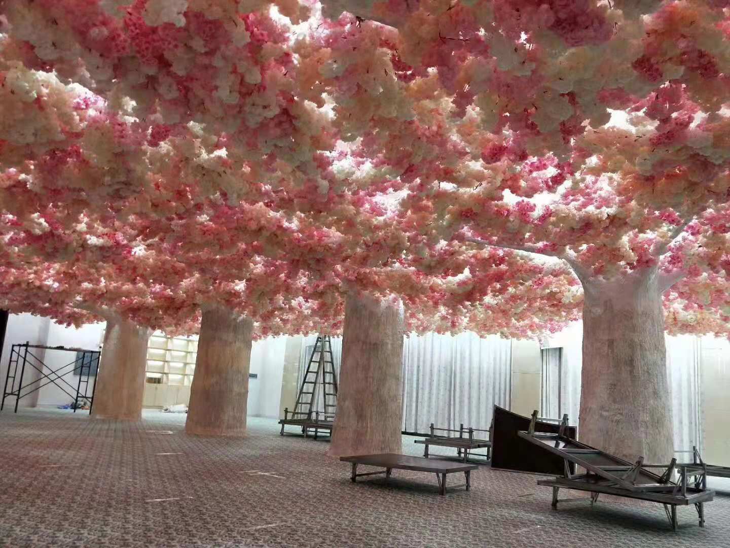 1545962154564936.jpg